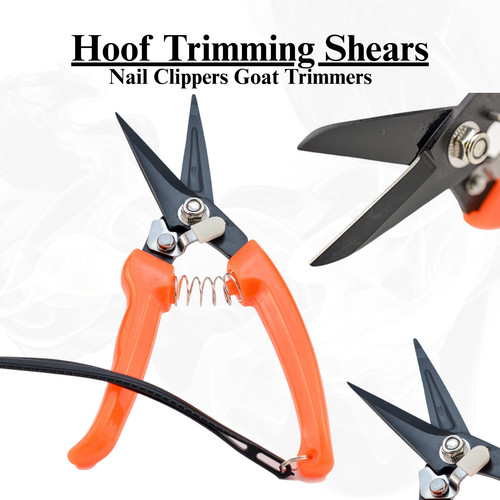 Hoof trimming shears heavy - –,