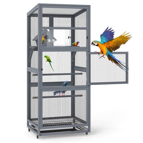 Large bird cage outdoor - bird,