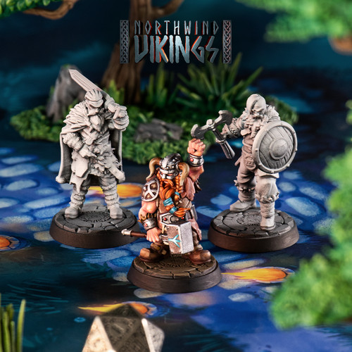 Viking barbarians dungeons - viking, |
