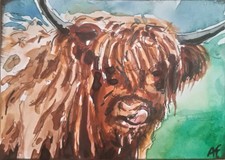Aceo Original Art Highland Cow