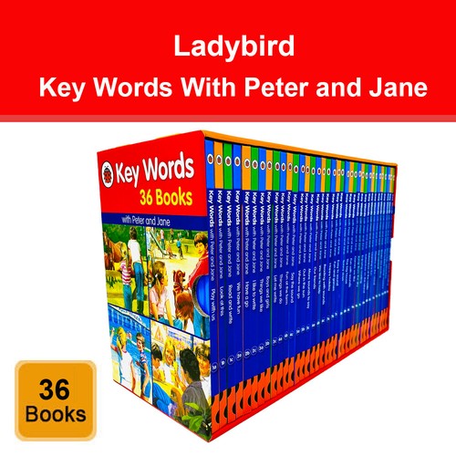 Ladybird key words with - key,