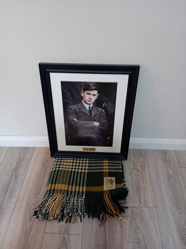 Michael collins framed picture - collins,