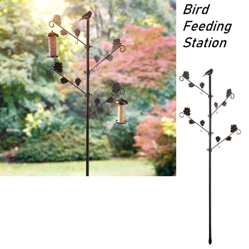 Bird feeders hanging - bird, station