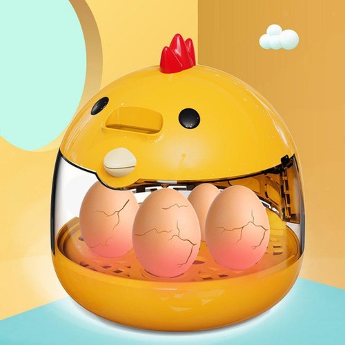 Eggs incubator practical - incubator,