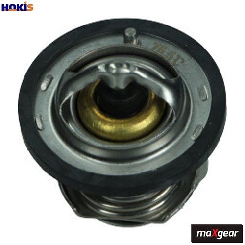 Thermostat coolant 0101 - coolant, for