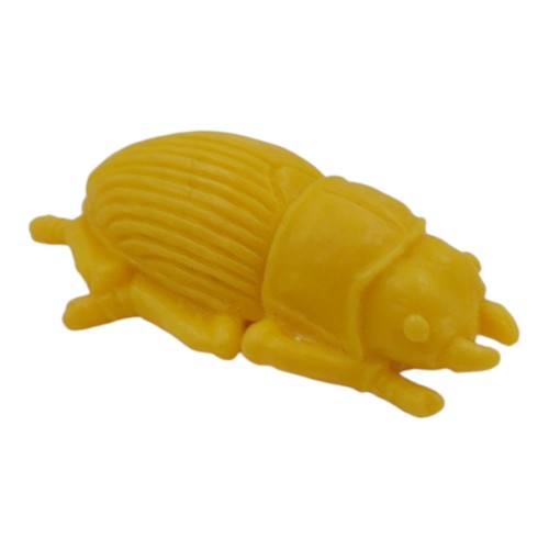 Stag beetle bug insect yellow - stag,