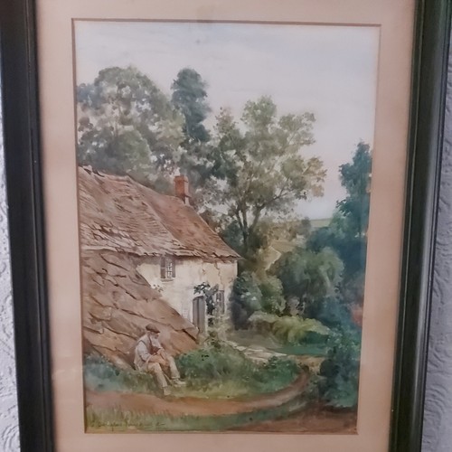 Original watercolour painting - watercolour,