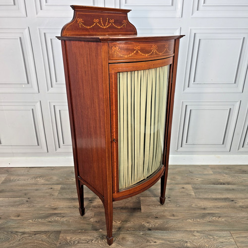 Antique mahogany glass display - antique,