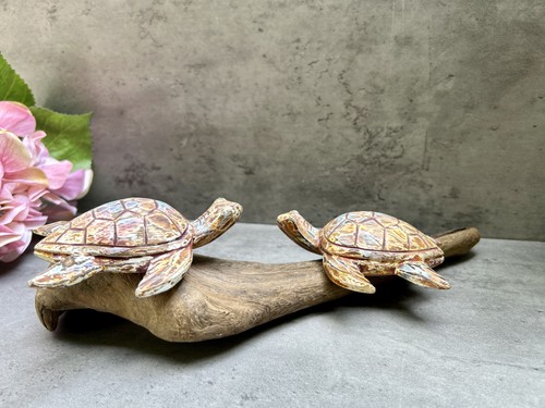 Sea turtles driftwood - on,