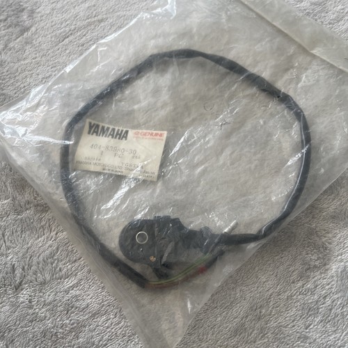 Yamaha fs1e fs1edx front - fs1edx,
