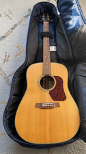 Walden D710 Acoustic Guitar with Ritter Gig Bag