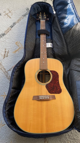 Walden d710 acoustic guitar - walden,