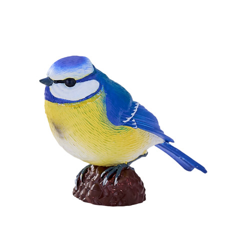 Mojo eurasian blue - mojo, wild
