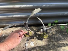 Games Workshop Lord of the