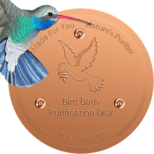 Bird bath copper disc - bird,