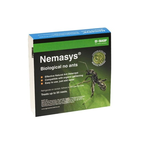 Ant nematodes nests covers - ant,