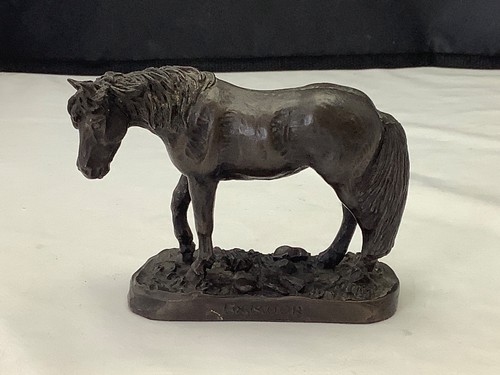 Exmoor pony heredities - pony,