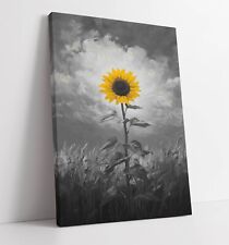 YELLOW SUNFLOWER BLACK WHITE