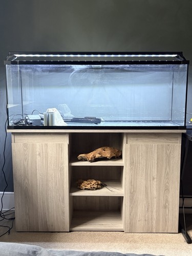 Large glass aquarium - large,