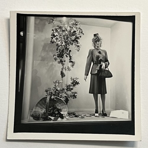 Vintage snapshot photograph - snapshot,