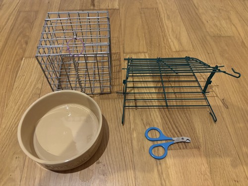 Guinea pig bundle - bundle,