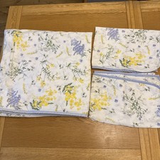 Diary Of An Edwardian Lady -