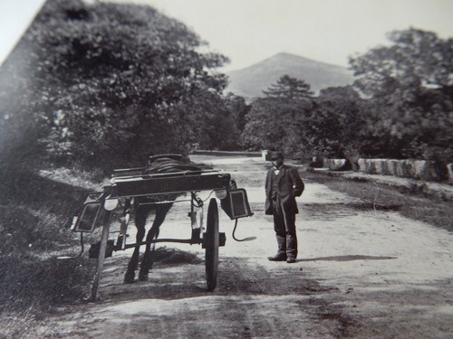 1880 sepia mounted - 1880,