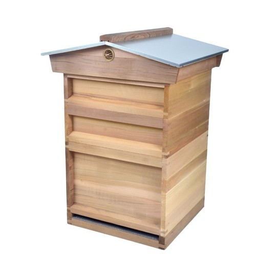 National hive with - national,
