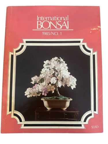 International bonsai magazine - bonsai,