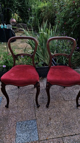 Pair robert robson - pair,