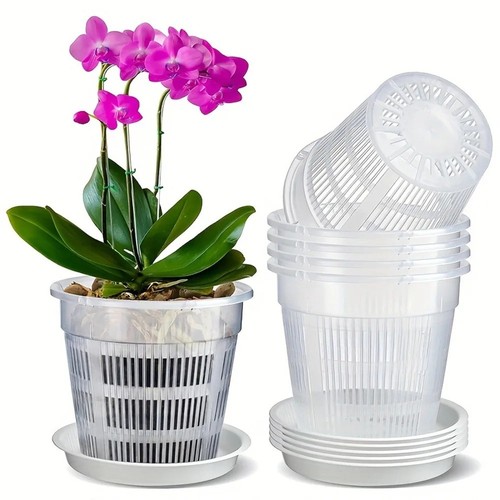 5pcs clear orchid pots - clear,