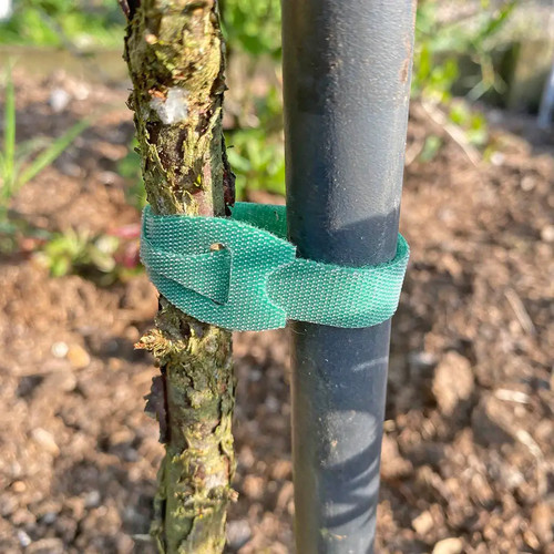 Tildenet plant ties 150mm hook - tildenet,