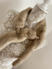 K2 Genuine Vintage Mink Fur