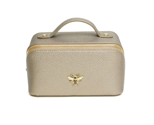 Bronze mini train case - train,