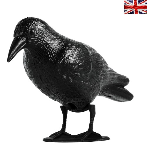 Realistic black crow decoy - realistic,