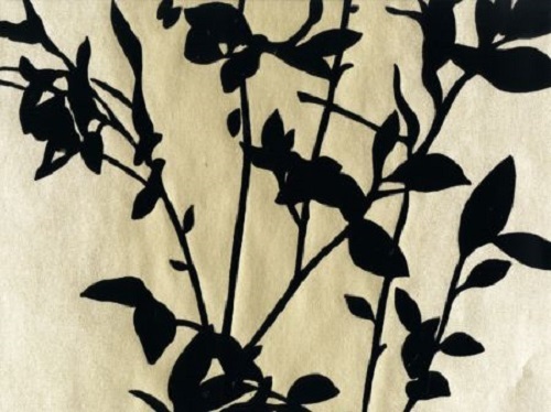 Wilman interiors velvet - wilman,