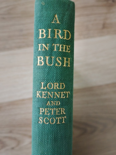 Bird the bush - bush, e
