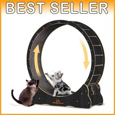 Indoor Cat Exercise Wheel for