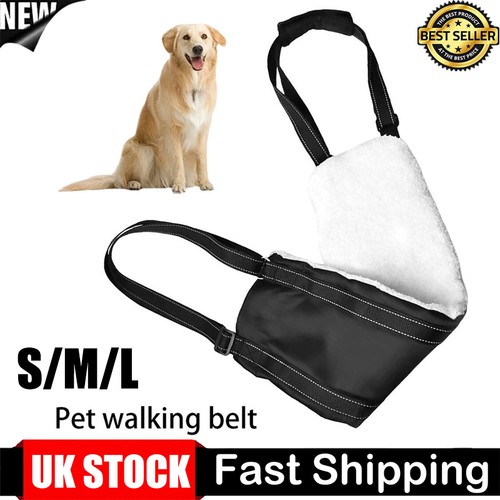 Large dog mobility aids - dog,