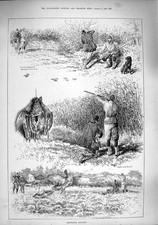 Original Old Antique Print