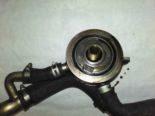 Yamaha yzf rj03 oil - yamaha,