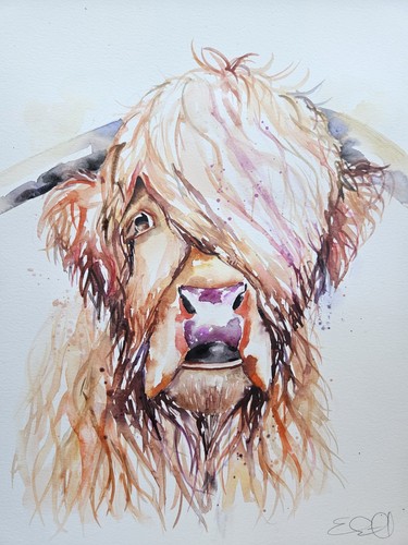 Original highland cow - original,