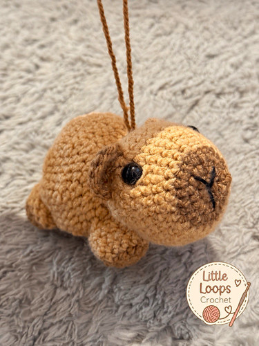 Little loops crochet mini - little,