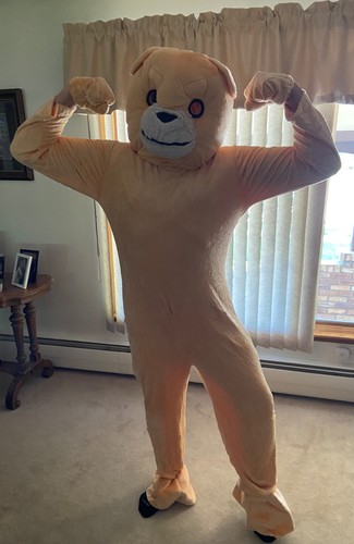 Adult teddy bear costume - teddy,