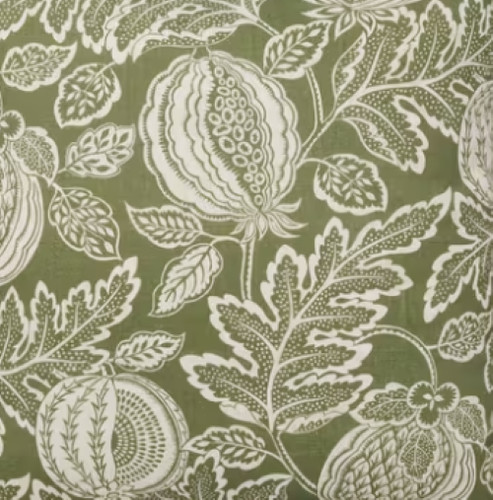 Sanderson cantaloupe - x,