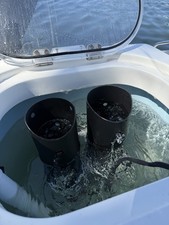 4” In-Live Well Live Bait