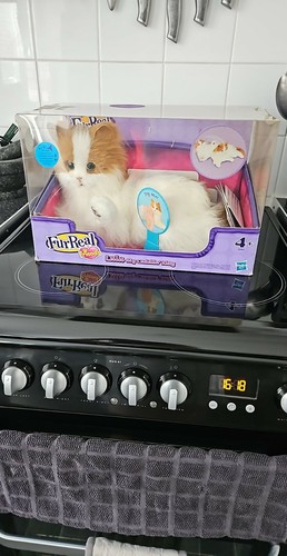 Rare boxed 2009 furreal - boxed,
