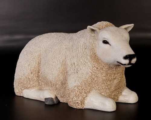 Texelaar sheep small - texelaar,