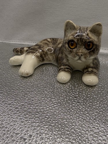 Winstanley laying down tabby - winstanley,
