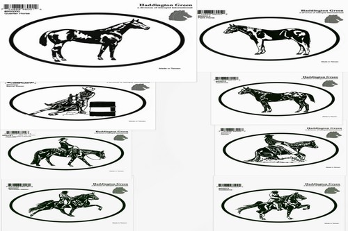 Horse sticker photo for - horse,